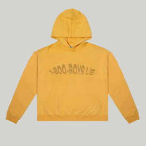 1-800-Boys-Lie Hoodie