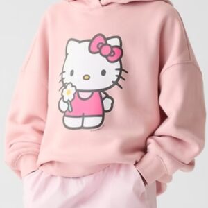 Kitty Pink Hoodie